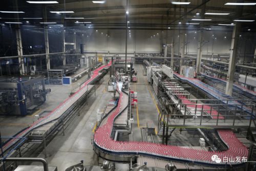 優(yōu)化營商環(huán)境助力企業(yè)發(fā)展 臨江市礦泉飲品產(chǎn)業(yè)動能強(qiáng)勁與技術(shù)推廣服務(wù)